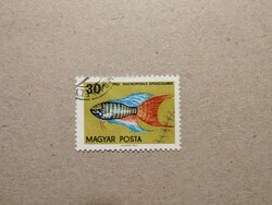 Magyarország - Akváriumi díszhalak 1962