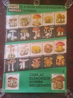 AZ EHETŐ ÉS MÉRGES GOMBÁK EREDETI PLAKÁT 1975