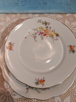 Őszi levél mintás, Colditz német porcelán tányérok, arany széllel