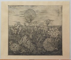 + Ábrahám Rafael : Napba néző