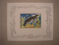 Belgium - Fauna, Antwerpeni állatkert, teknős blokk 1965