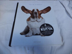 A jól nevelt kutya - viselkedési porblémák (982)