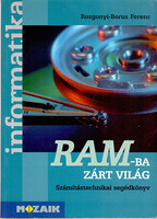 Rozgonyi-Borus Ferenc: A World Locked in RAM - Computer Science Reference Book
