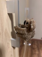 Csiptetős koala retro 1970-es, 80-as évek