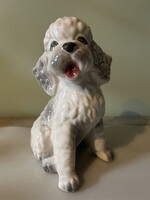 Különleges, élethű Antik Porcelán Uszkár – Nagy méret ​Eladó a képeken látható, gyönyörűen kidolgozo