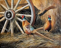 Dabronaki Fácánkakasok 40x50 cm olaj-vászon