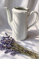 Antik Rosenthal „Maria Louise” porcelán teakiöntő – Bavaria, 20 cm