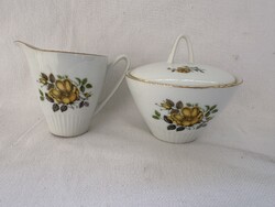 Epiag D.F. Csehszlovákia porcelán tej kiöntő + cukortartó 11,5x10 cm