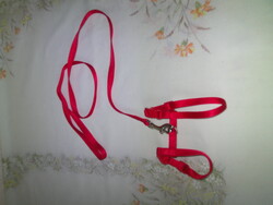 Piros színű cica, macska vagy más kisállat póráz, hám