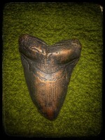 Megalodon óriás cápa fog tömör bronzból