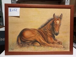 VÖLGYI SÁNDOR Csikó B158.