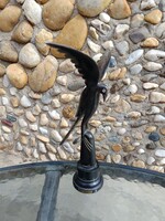 Faragott Fa Madár - Indiából