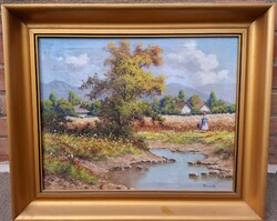 Barsi Béla (1872-1913) Patakparton