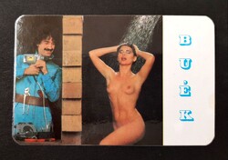 VIDIA szakboltok Szeged Baja Kecskemét Szolnok Békéscsaba kártyanaptár 1988