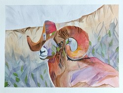Muflon - absztrakt akvarell 30x40 cm