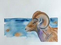 Modern muflon akvarell festmény 30x40 cm