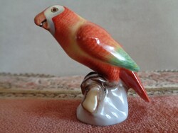 HERENDI ÜLŐ PIROS PAPAGÁJ