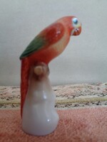 HERENDI KIS PIROS PAPAGÁJ