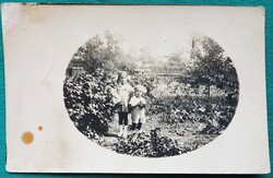 Vintage fotó, tesvérek, gyerekek a kertben,, viselet, játékok, képeslap