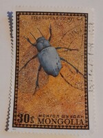1972-es Bogarak