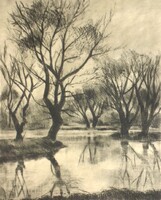 - Fehér Ilona : Vízparti fák