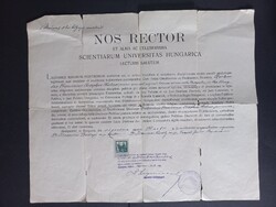 1920-as egyetemi doktori diploma másolat – Budapest, latin nyelvű oklevél pecséttel