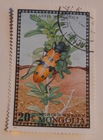 1972-es Bogarak