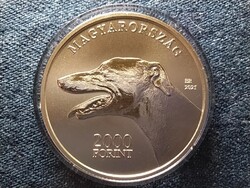 Magyar agár 2000 Forint 2021 BP PL