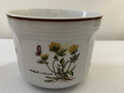 Botanica mintás porcelán kaspó