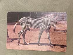 Kártyanaptár 1990.A képen egy zebra látható. Képzőművészeti Kiadó
