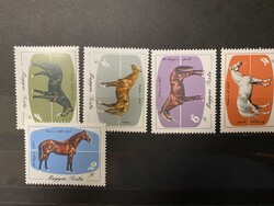 1985. 200 éves a mezőhegyesi lótenyésztés sor**