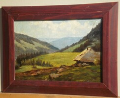 (N) Ismeterlen festő (20.sz.első fele) : Alpesi táj