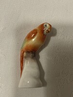 Herendi gyönyörűen festett ritka darab kicsi papagáj.