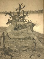 (K) Nyári Lóránt (1928-1982) : Gyökerek