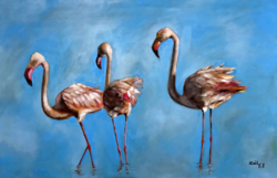 Flamingócsalád - olajfestmény - 44,7 x 66,1 centi