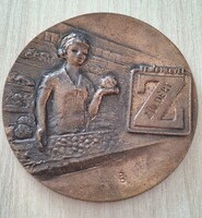 Fejér Megyei Zöldért bronz plaket  BB jelzéssel  9 cm