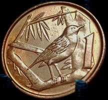 Kajmán-szigetek 1 cent, 2013 D03F5