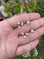 Női 925 Ezüst Fülbevaló!