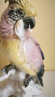 Nagy ENS porcelán  papagáj 27cm