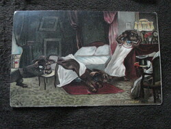 Gróf Sternberg család arisztokrata levelezés, 1911.Kápolnásnyék, Oskar Potiorek, tacskós lapon