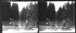 Antik sztereó üvegnegatív - Csónakázó párok erdei tavon napernyőkkel, padok a parton 1900 körül