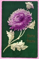 Antik dombornyomott üdvözlő képeslap  - krizantém