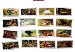Antik 1930 gyűjthető PLAYERS NAVY CUT cigaretta reklámkártyák LEPKÉK Pillangók 49 db egyben 5.