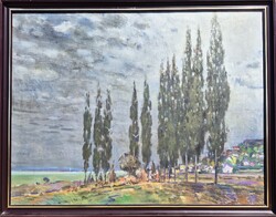 Halvax Gyula / Balatoni táj