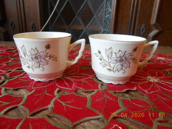 Zsolnay hand-painted coffee cup