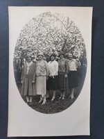 Régi fotó Öt hölgy virágzó fa alatt – 1920–30-as évek kerti portréfotó