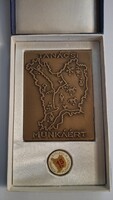 Szolnok Megyei Tanácsi Munkáért bronz plakett és 15 éves kitűző díszdobozban