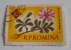1961 100 éves a Bukaresti botanikus kert,virágok