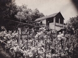 Pécs  Kakukk-csárda 1920 körül