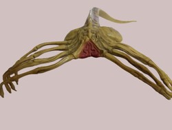 FILMGYÁRAS NECA -ALIENS - ÉLETHŰ KINÉZETŰ ÉS MÉRETŰ -FACEHUGGER ARCTAPADÓ FIGURA 24X35 cm